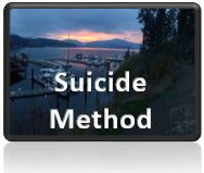 Suicide Method Button