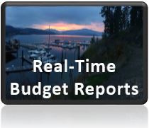 Real Time Budget