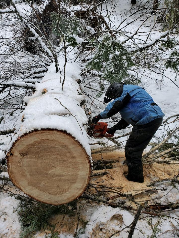 Cutting Large Tree off Trail