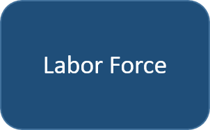 Labor Force
