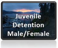 Juv Dent Gender Button