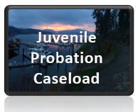 Juv Prob Case Button