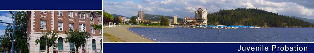 Juvenile Probation banner with collage of images