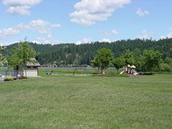 Field with playground and shed