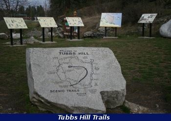 Tubbs Hill Rock