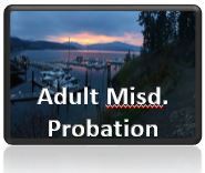 Adult Misd