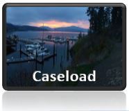 Caseload