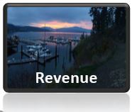 Revenue